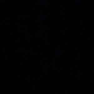 Meet your Posher, Mariah